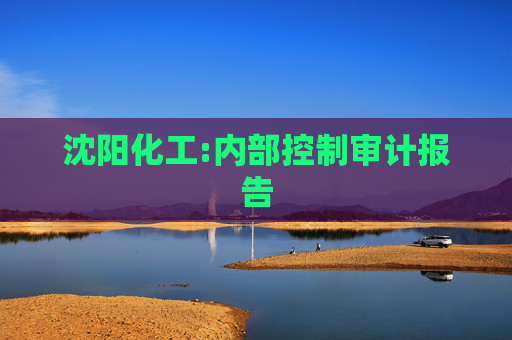 沈阳化工:内部控制审计报告