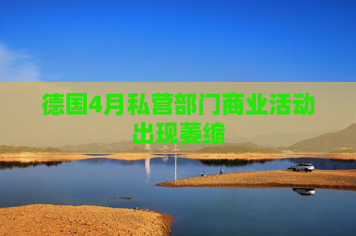 德国4月私营部门商业活动出现萎缩