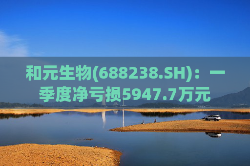 和元生物(688238.SH)：一季度净亏损5947.7万元  第1张
