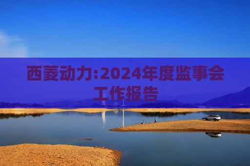 西菱动力:2024年度监事会工作报告  第1张