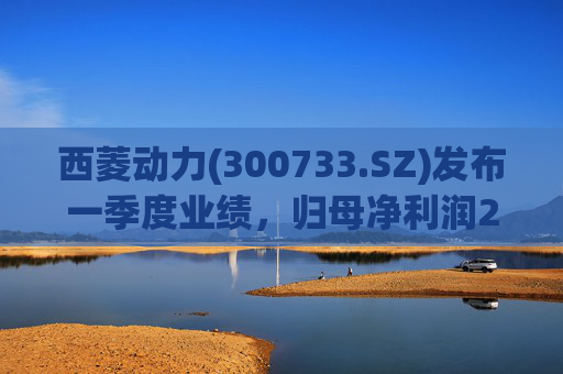 西菱动力(300733.SZ)发布一季度业绩，归母净利润2100.26万元，增长107.58%  第1张