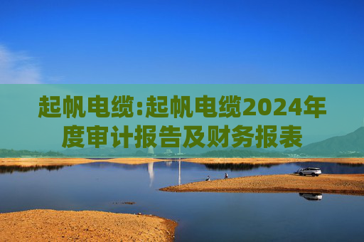起帆电缆:起帆电缆2024年度审计报告及财务报表  第1张