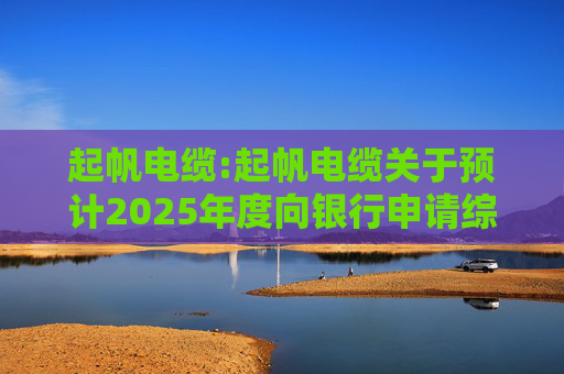 起帆电缆:起帆电缆关于预计2025年度向银行申请综合授信额度并为子公司提供担保的公告  第1张