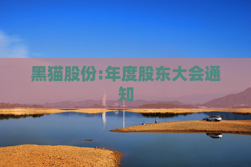 黑猫股份:年度股东大会通知  第1张