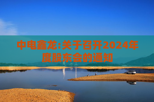 中电鑫龙:关于召开2024年度股东会的通知