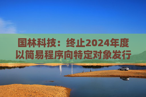 国林科技：终止2024年度以简易程序向特定对象发行股票事项