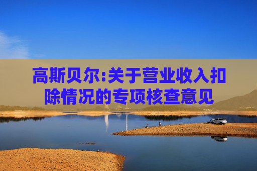 高斯贝尔:关于营业收入扣除情况的专项核查意见