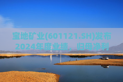 宝地矿业(601121.SH)发布2024年度业绩，归母净利润1.38亿元，同比下降25.89%