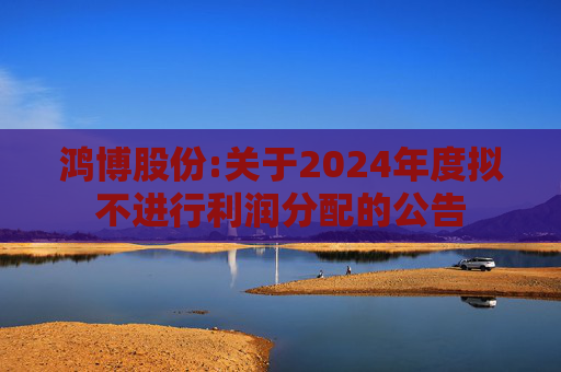 鸿博股份:关于2024年度拟不进行利润分配的公告