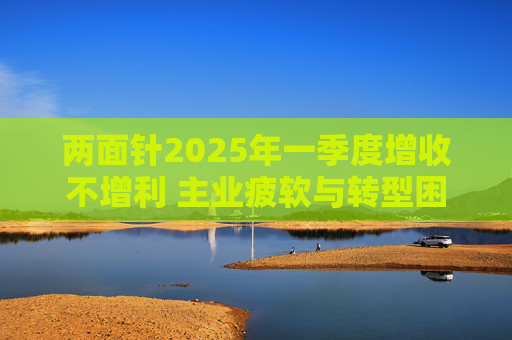 两面针2025年一季度增收不增利 主业疲软与转型困境下亏损放大  第1张