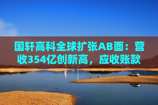 国轩高科全球扩张AB面：营收354亿创新高，应收账款189亿存隐忧  第1张
