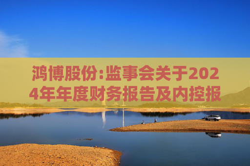 鸿博股份:监事会关于2024年年度财务报告及内控报告非标意见的专项说明  第1张