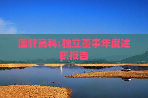 国轩高科:独立董事年度述职报告