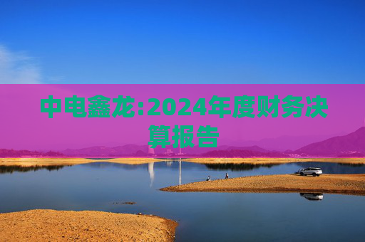 中电鑫龙:2024年度财务决算报告  第1张