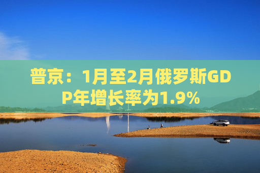 普京：1月至2月俄罗斯GDP年增长率为1.9%  第1张