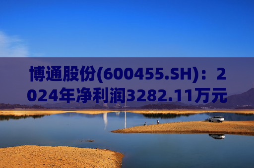 博通股份(600455.SH)：2024年净利润3282.11万元，同比增长15.68%