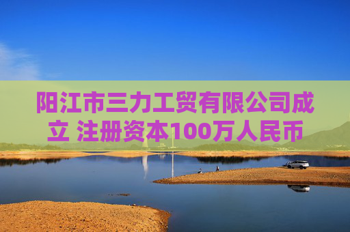 阳江市三力工贸有限公司成立 注册资本100万人民币