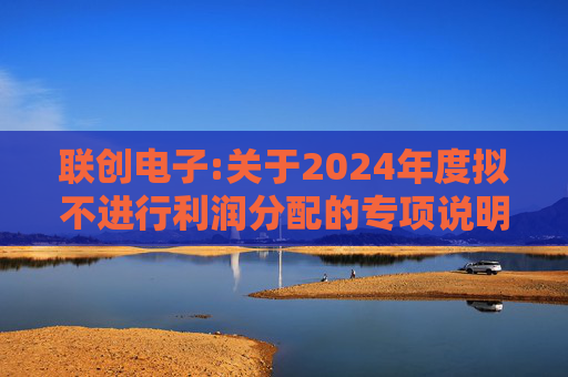 联创电子:关于2024年度拟不进行利润分配的专项说明