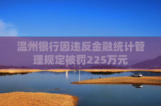 温州银行因违反金融统计管理规定被罚225万元  第1张