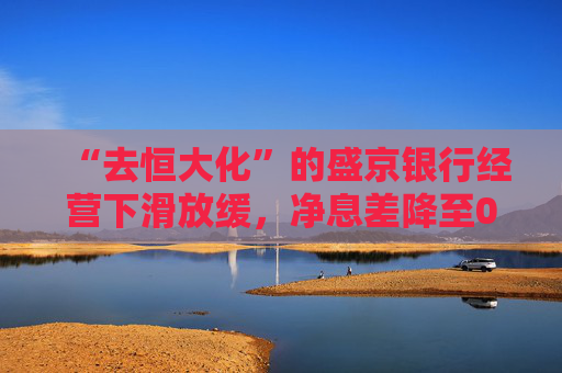 “去恒大化”的盛京银行经营下滑放缓，净息差降至0.8%低位  第1张