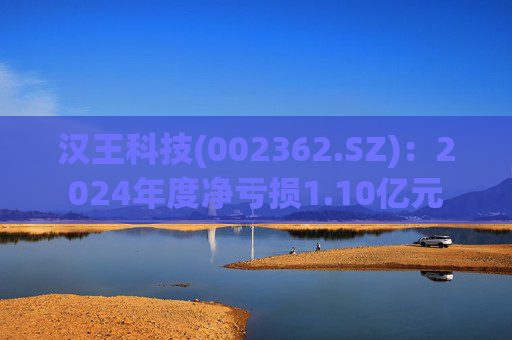 汉王科技(002362.SZ)：2024年度净亏损1.10亿元  第1张