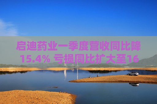 启迪药业一季度营收同比降15.4% 亏损同比扩大至1626万元  第1张