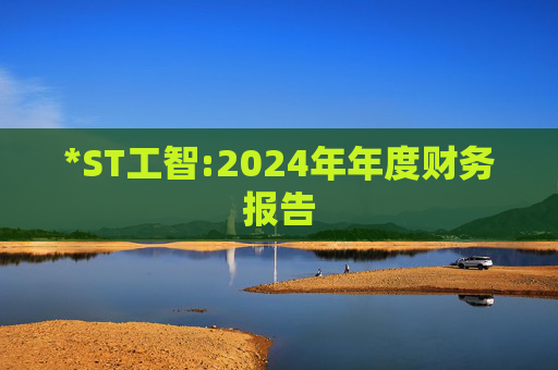 *ST工智:2024年年度财务报告