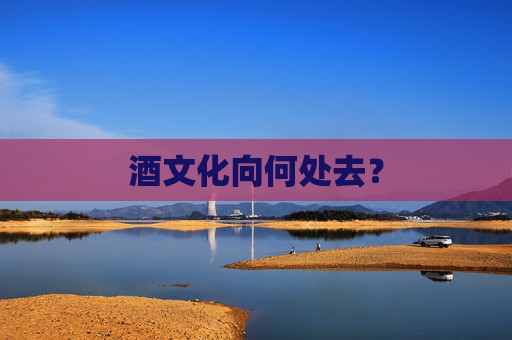 酒文化向何处去？  第1张