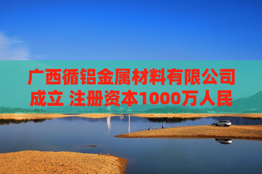 广西循铝金属材料有限公司成立 注册资本1000万人民币