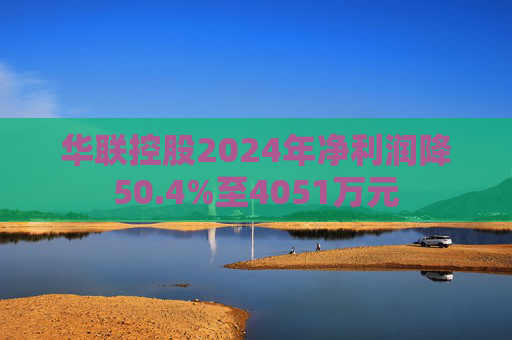 华联控股2024年净利润降50.4%至4051万元  第1张