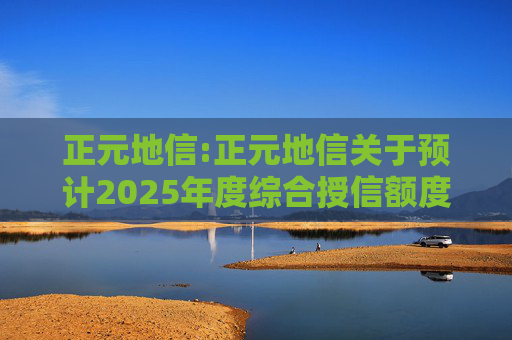 正元地信:正元地信关于预计2025年度综合授信额度及为子公司授信提供担保的公告  第1张