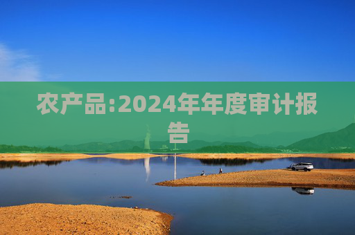 农产品:2024年年度审计报告
