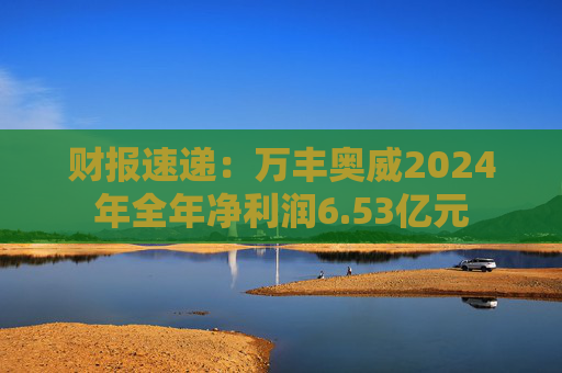 财报速递：万丰奥威2024年全年净利润6.53亿元