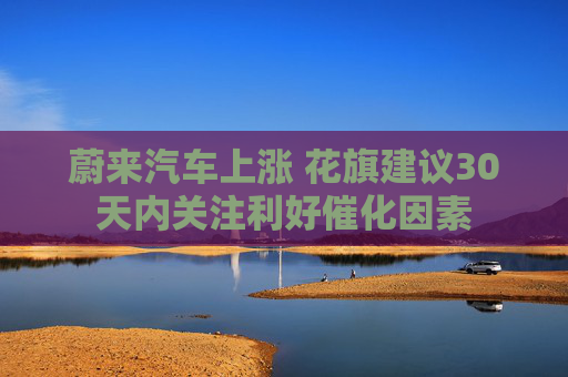 蔚来汽车上涨 花旗建议30天内关注利好催化因素
