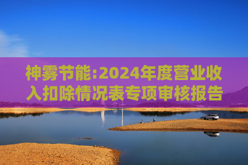 神雾节能:2024年度营业收入扣除情况表专项审核报告