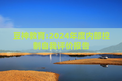 豆神教育:2024年度内部控制自我评价报告  第1张