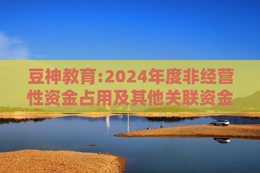 豆神教育:2024年度非经营性资金占用及其他关联资金往来情况汇总表