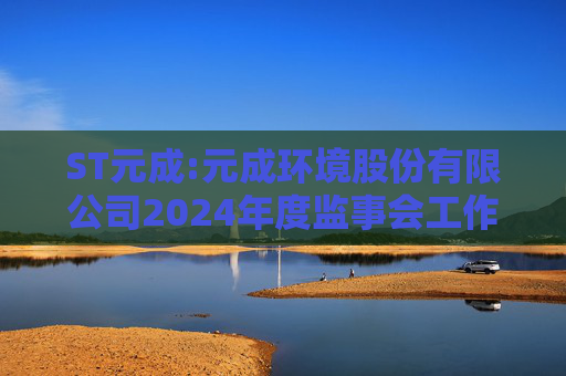 ST元成:元成环境股份有限公司2024年度监事会工作报告