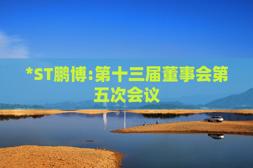 *ST鹏博:第十三届董事会第五次会议