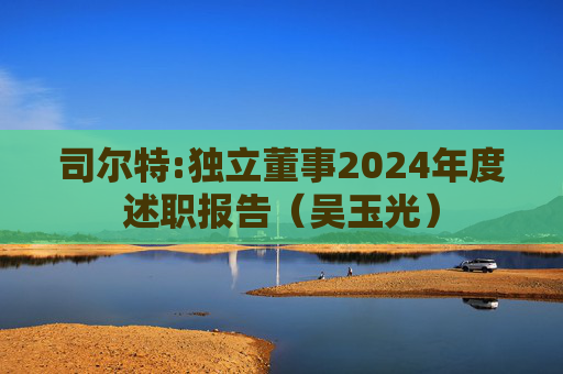 司尔特:独立董事2024年度述职报告（吴玉光）