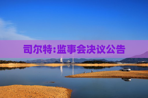 司尔特:监事会决议公告