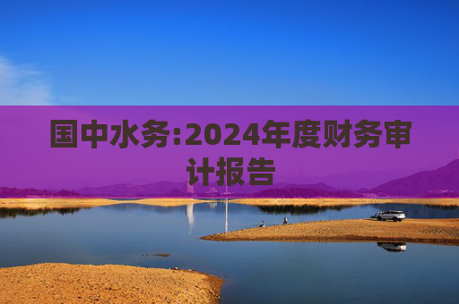 国中水务:2024年度财务审计报告
