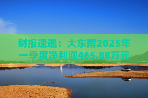 财报速递：大东南2025年一季度净利润465.88万元