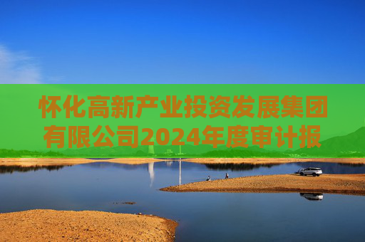 怀化高新产业投资发展集团有限公司2024年度审计报告