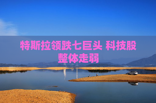特斯拉领跌七巨头 科技股整体走弱