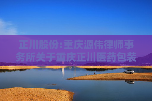 正川股份:重庆源伟律师事务所关于重庆正川医药包装材料股份有限公司2024年年度股东大会的法律意见书  第1张