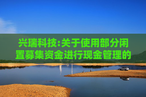兴瑞科技:关于使用部分闲置募集资金进行现金管理的进展公告  第1张