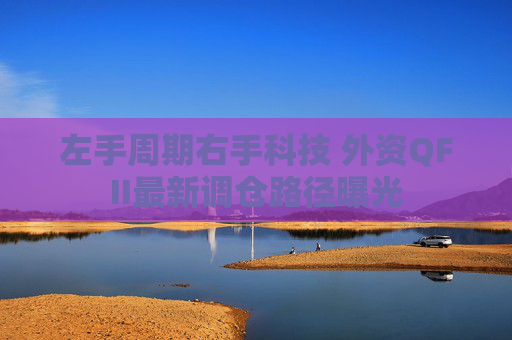 左手周期右手科技 外资QFII最新调仓路径曝光