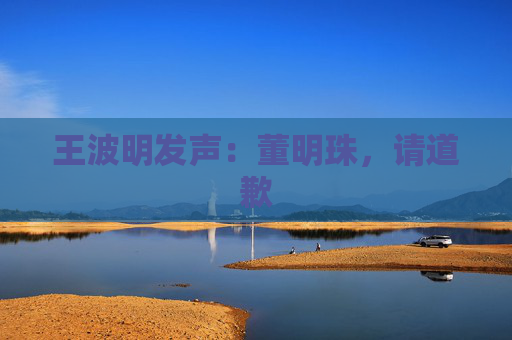王波明发声：董明珠，请道歉