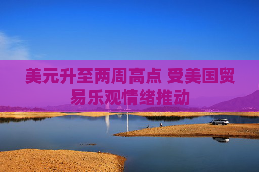 美元升至两周高点 受美国贸易乐观情绪推动